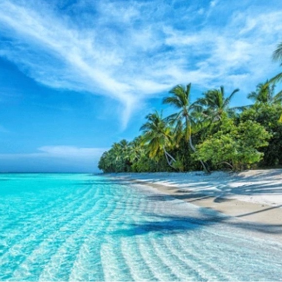 Meet your Posher, Rachel - Picture 1 of 1